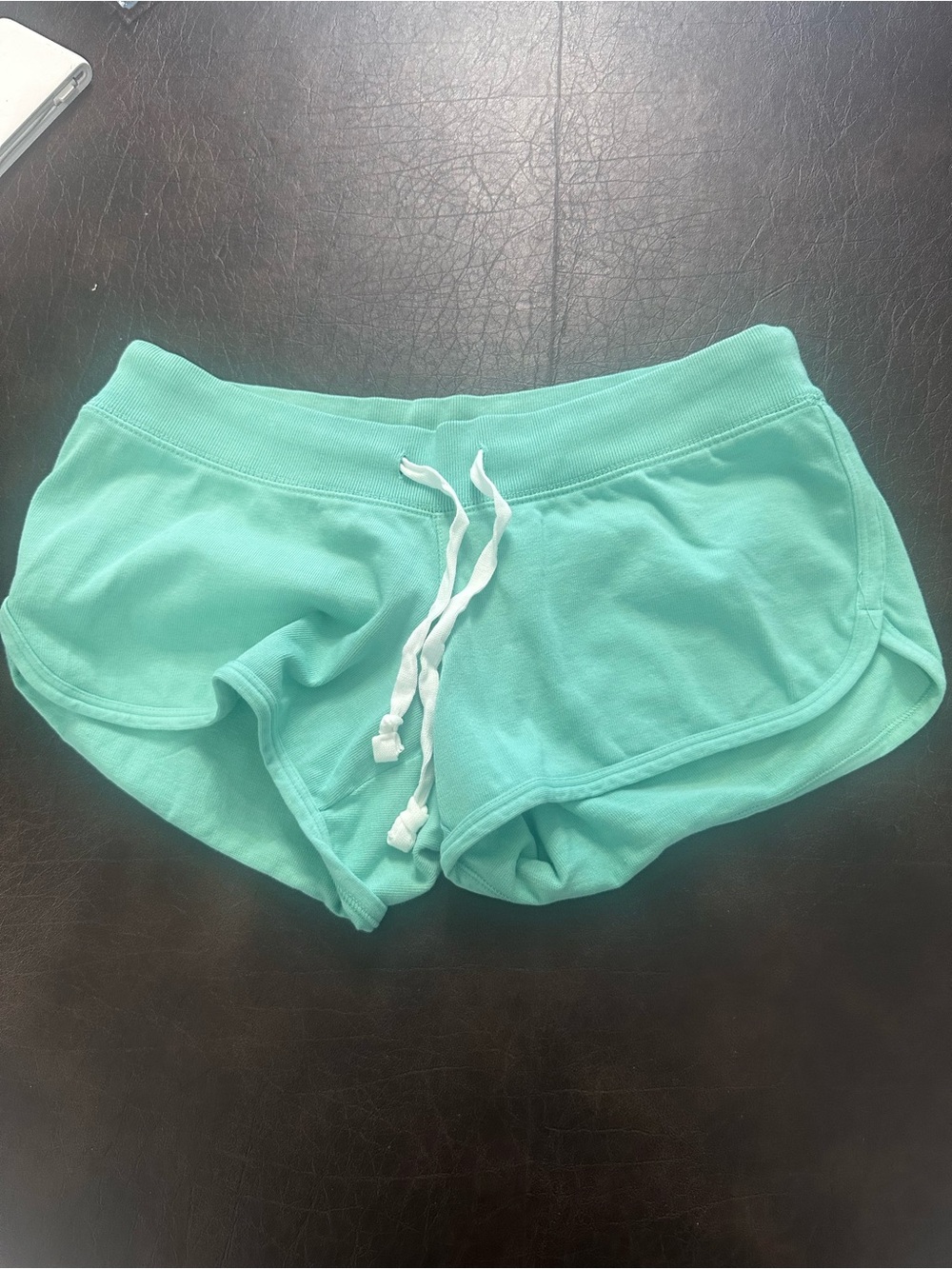 BRANDY MELVILLE NWT Women's  Greenish Blue Drawstring Lounge Shorts